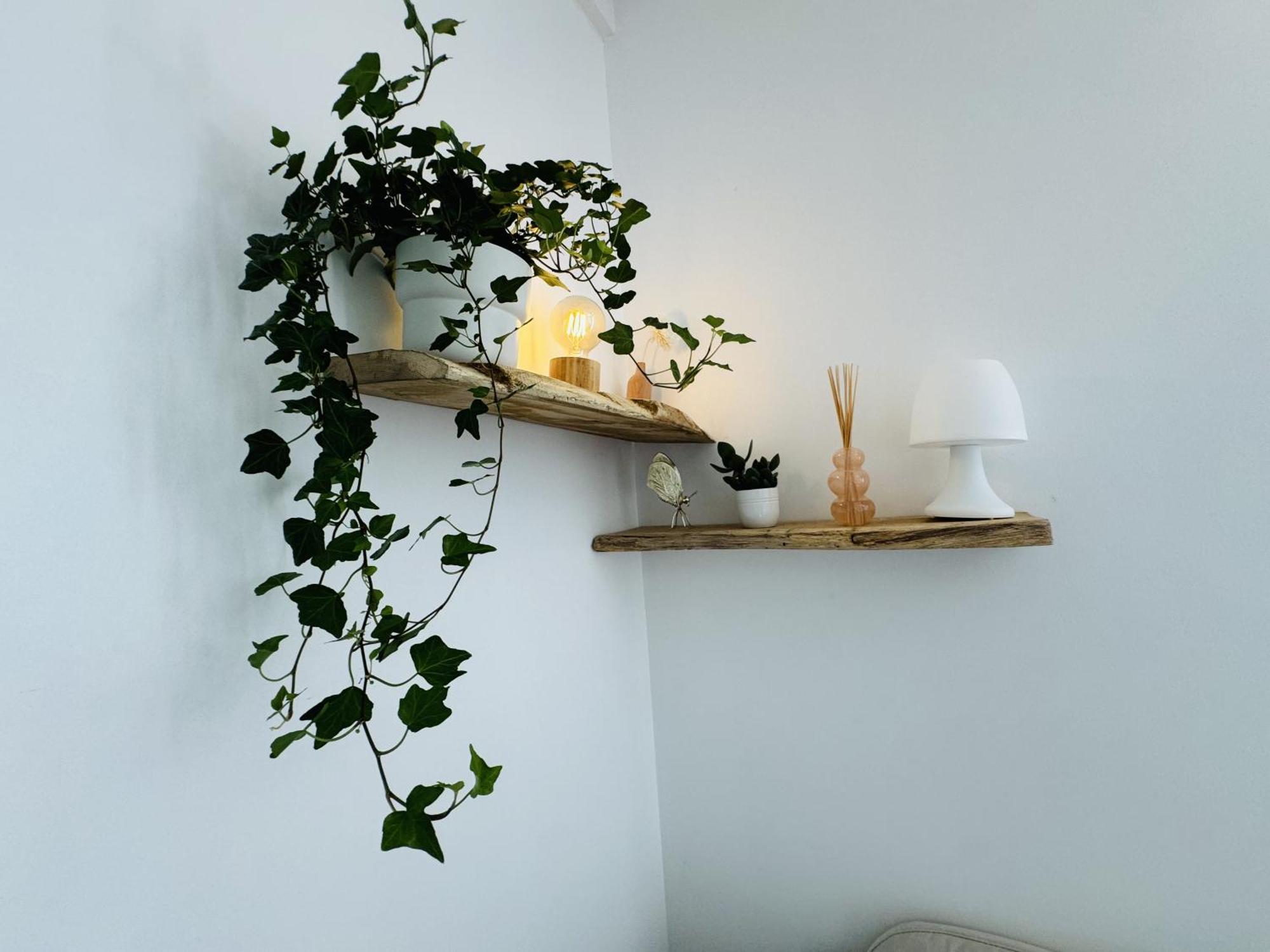 Le Piccolo - Appartement Cosy - Wifi 베글레스 외부 사진